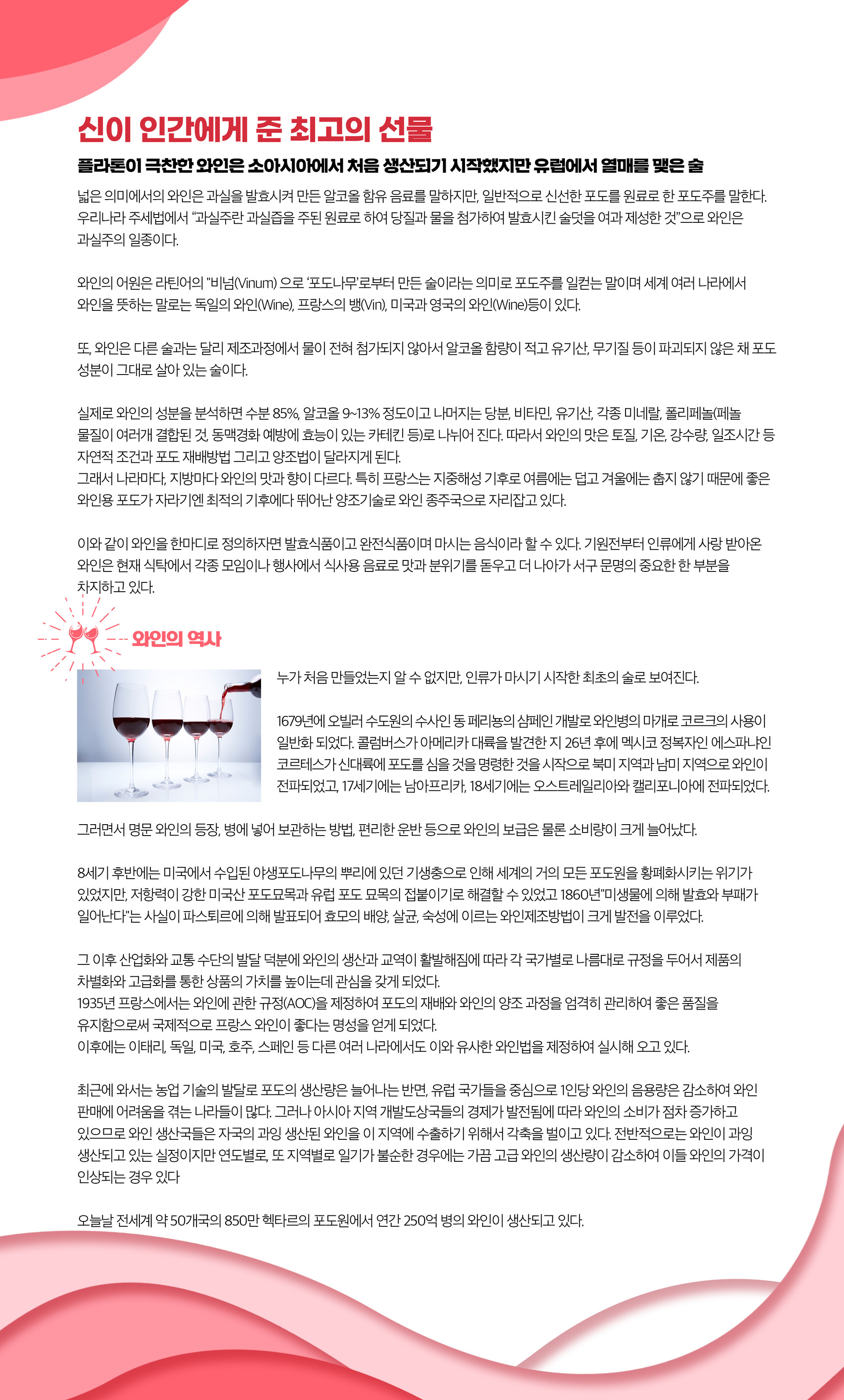 궁금한이야기 와인