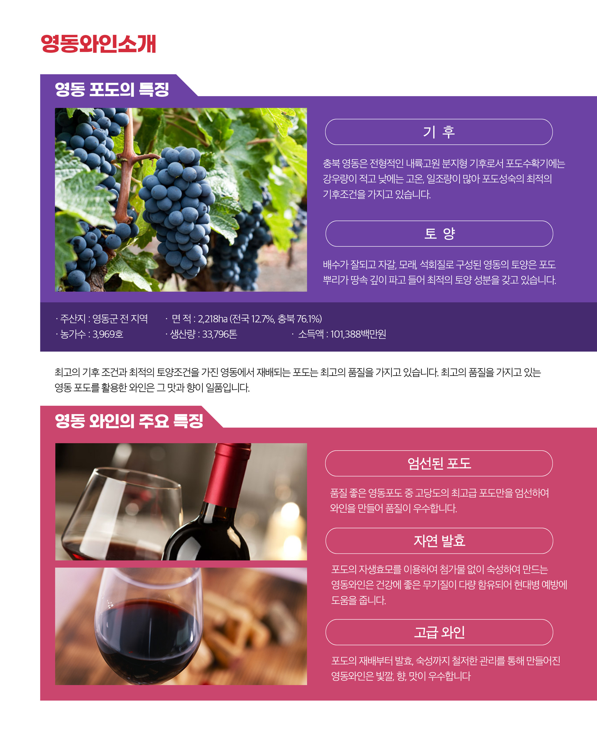 영동 와인 이야기
